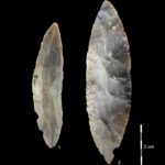 Découverte du premier Homo sapiens d'Europe 45 000 ans plus tard SciTechDaily