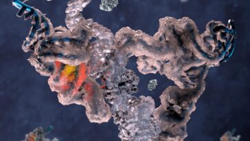 SciTechDaily