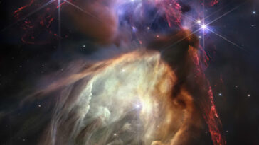 SciTechDaily