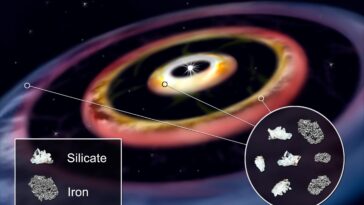 SciTechDaily