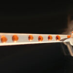 Des scientifiques développent un appareil musculaire artificiel qui produit une force 34 fois supérieure à son poids SciTechDaily