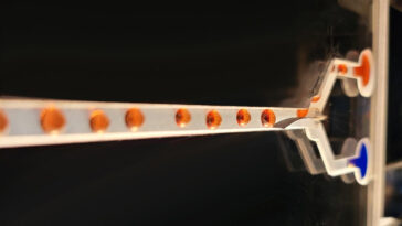 SciTechDaily
