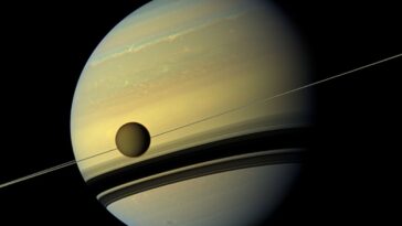 SciTechDaily