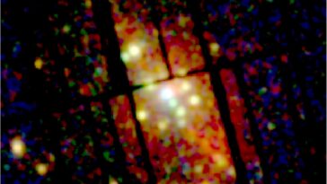 SciTechDaily
