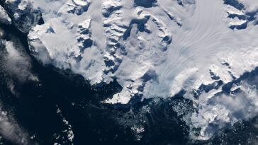 Figé dans le temps : l'île de l'hiver éternel en Antarctique