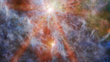 SciTechDaily