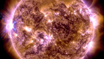 SciTechDaily
