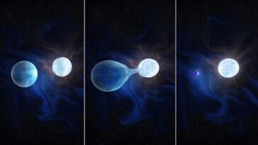 SciTechDaily