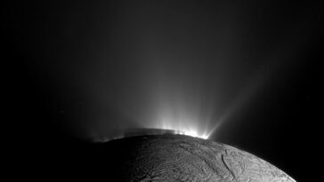 SciTechDaily
