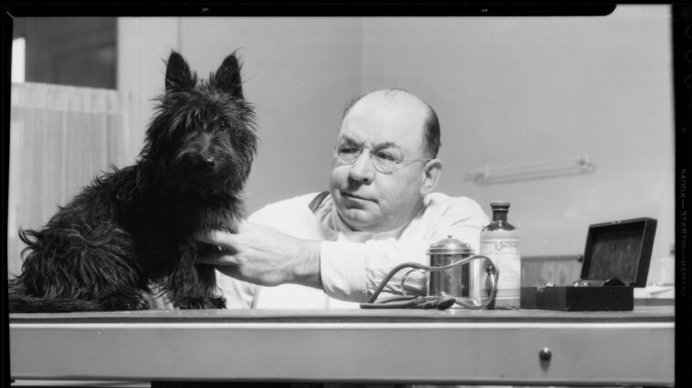 Le législateur républicain Joel Kitchens déclare que l'avortement n'est pas un soin de santé – et il le sait parce qu'il était vétérinaire et qu'il a « fait des milliers d'échographies sur des animaux ».