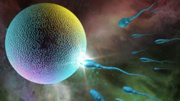 SciTechDaily