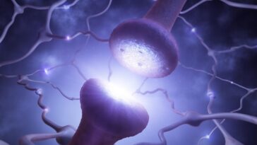 SciTechDaily