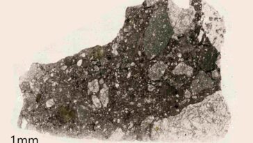 SciTechDaily