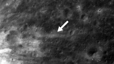 SciTechDaily