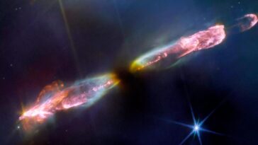 SciTechDaily