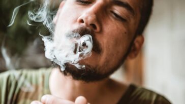 Les manières les plus saines d’utiliser sa cigarette électronique : tout savoir sur les e-liquides et leur composition