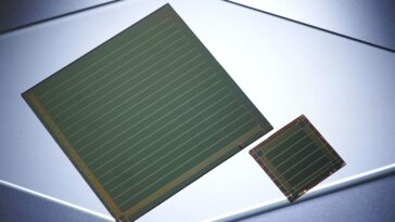 SciTechDaily