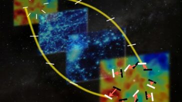 SciTechDaily