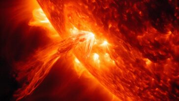 SciTechDaily