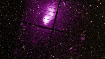 SciTechDaily