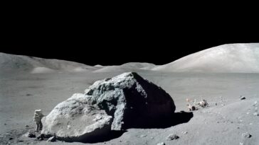 SciTechDaily