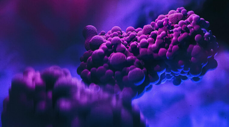 Redéfinir la variole du singe : une nouvelle étude révèle des tendances surprenantes en matière de transmission humaine SciTechDaily