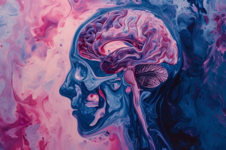 Psychédéliques cérébraux à la kétamine