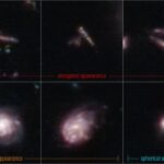 Révélation surprenante du télescope Webb : de nombreuses premières galaxies ressemblaient à des nouilles de piscine et à des planches de surf Révélation surprenante du télescope Webb : de nombreuses premières galaxies ressemblaient à des nouilles de piscine et à des planches de surf