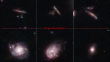 Révélation surprenante du télescope Webb : de nombreuses premières galaxies ressemblaient à des nouilles de piscine et à des planches de surf