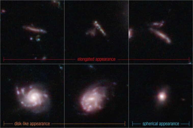 Révélation surprenante du télescope Webb : de nombreuses premières galaxies ressemblaient à des nouilles de piscine et à des planches de surf Révélation surprenante du télescope Webb : de nombreuses premières galaxies ressemblaient à des nouilles de piscine et à des planches de surf