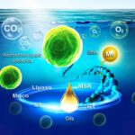 Révolution verte : comment les microalgues pourraient alimenter l’avenir SciTechDaily