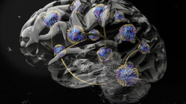 SciTechDaily