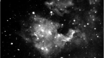 Metalens Image of North American Nebula