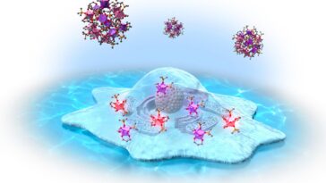 SciTechDaily