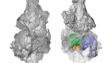 SciTechDaily