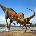 Torsion de l’intrigue paléontologique : une nouvelle recherche montre que Nanotyrannus est une espèce distincte, et non un « T. rex juvénile » SciTechDaily