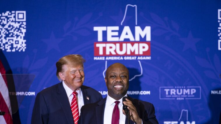 Trump transforme la victoire probable des primaires du New Hampshire en essais Veep Trump transforme la victoire probable des primaires du New Hampshire en essais Veep