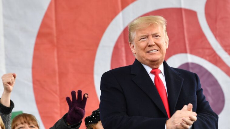 Un deuxième mandat de Trump pourrait mettre fin à l’accès à l’avortement tel que nous le connaissons Un deuxième mandat de Trump pourrait mettre fin à l’accès à l’avortement tel que nous le connaissons