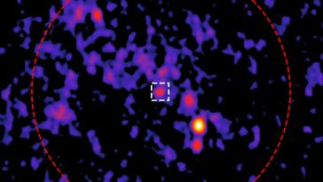 SciTechDaily