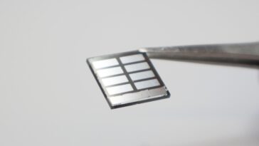 SciTechDaily
