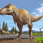 L'Ombre d'un Titan : le Tyrannosaure McRaeensis surgit du passé de T. Rex SciTechDaily