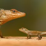 Une nouvelle théorie de l'évolution explique pourquoi les animaux rétrécissent avec le temps SciTechDaily