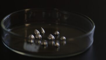 SciTechDaily