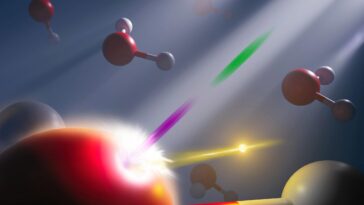 SciTechDaily