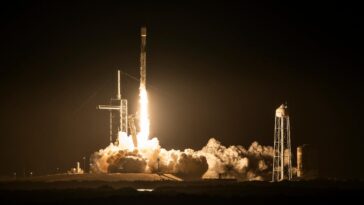 SciTechDaily