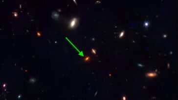 SciTechDaily