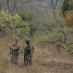 cc US Africa Command, modified, U.S. Army Staff Sgt. James Hartenstein, combat engineer 402nd Engineer Company(Sapper), gives feedback to a member of the Rwanda Defence force during the field training exercise of Exercise Shared Accord 2019, in Gabiro, Rwanda, Aug. 25, 2019. SA 19, which runs Aug. 14-28, is focused on bringing together U.S. and Rwandan forces, African partner militaries, allies and international organizations to increase readiness, interoperability, and partnership building between participating nations for peacekeeping operations in the Central African Republic. (U.S. Army Reserve photo by Sgt. Heather Doppke/79th Theater Sustainment Command), https://flickr.com/photos/africom/48941443818/in/photolist-2h1pudS-2h7dsZY-2h1pDeh-2h7fXrC-2h1qixs-2h7dwYQ-2h7frwX-2h7dvec-2h1px1L-2hyMxxP-2hyQnFG-2hyQwYQ-2h1iZuF-2hyMBuG-2hyQoZy-2hyRqZQ-2hyRona-2hyMESZ-2h1qAKy-2hyRBzY-2hyMyWv-2hyMxUR-2hyRvem-2hyRuTm-2hyMCgr-2hyQmQy-2hyQpfy-2hyMDKt-2hyRsTz-2hyQrRL-2hyMyNz-2hyQtLn-2hyMEhk-2hyMG9S-2h1qLDW-2h1hHb9-2h7fb61-2hyMApW-2hyQBZr-2hyRqmA-2hyRniM-2hyQoo8-2hyMGy9-2hyQvtL-2hyMEs5-2hyMHc8-2hyRqRi-2hyRpkT-2hyQn1o-2hyME3s