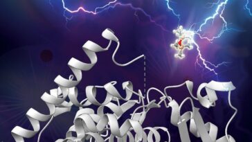 SciTechDaily