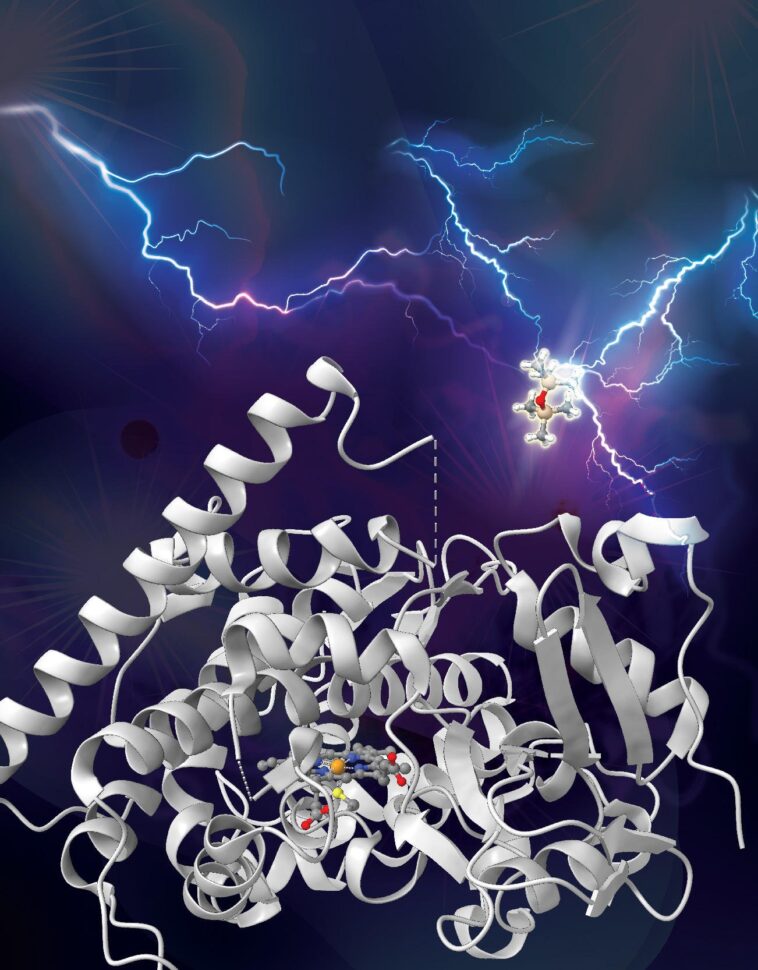 Briser l'incassable : des scientifiques de Caltech conçoivent une enzyme pour dégrader les liaisons silicium-carbone dans les silicones SciTechDaily