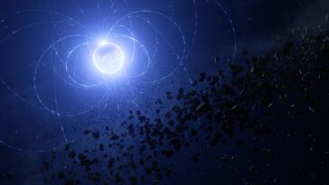 SciTechDaily
